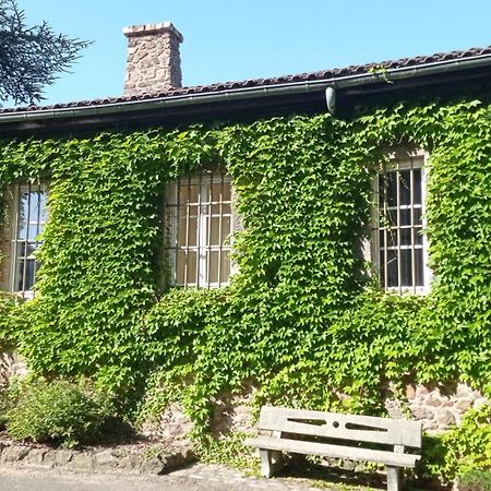 La Ferriere Bed & Breakfast Saint-Medard-en-Forez Bagian luar foto